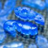 Tuner Fish Lug Locks Blue